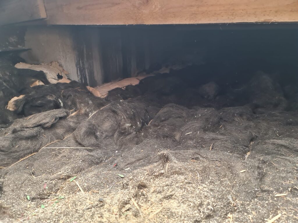 Doplnění foukané izolace v rodinném domě Sezimovo Ústí